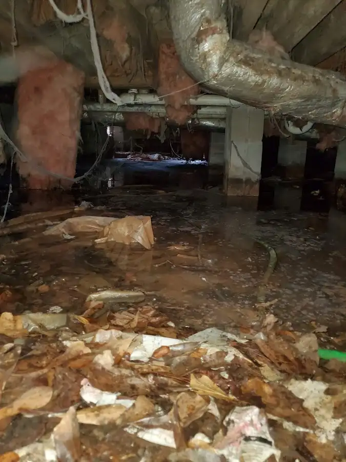 Crawl space flood assessment for Commercial Water Damage Restoration in East Pasadena