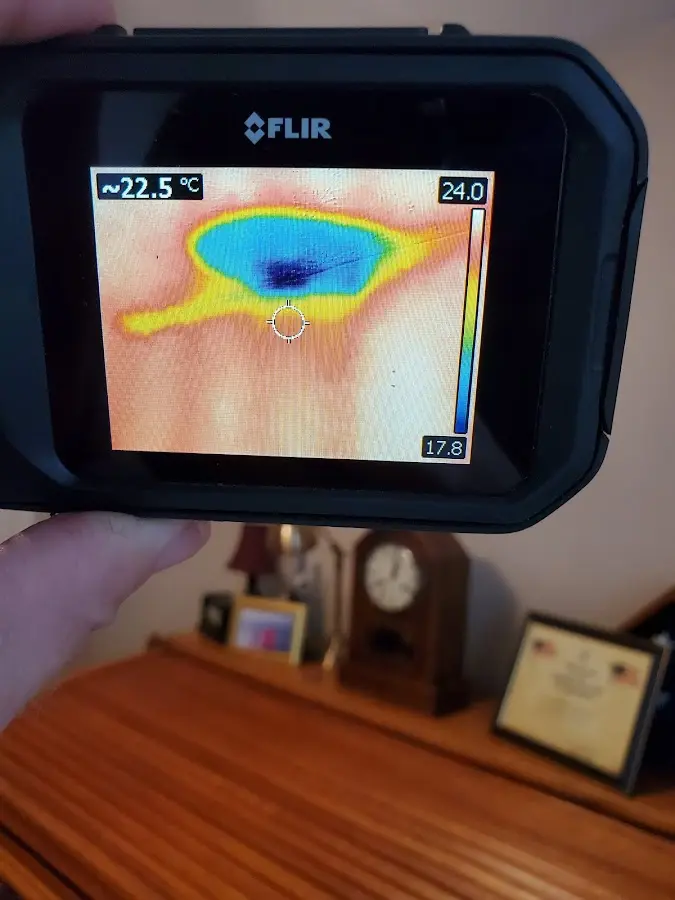 Thermal imaging inspection for water damage in East Pasadena
